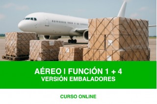 Curso Embaladores ID8000 MM.PP. FUN-1 + FUN 4 | antes CAT-1 / CAT-8 / CAT-5